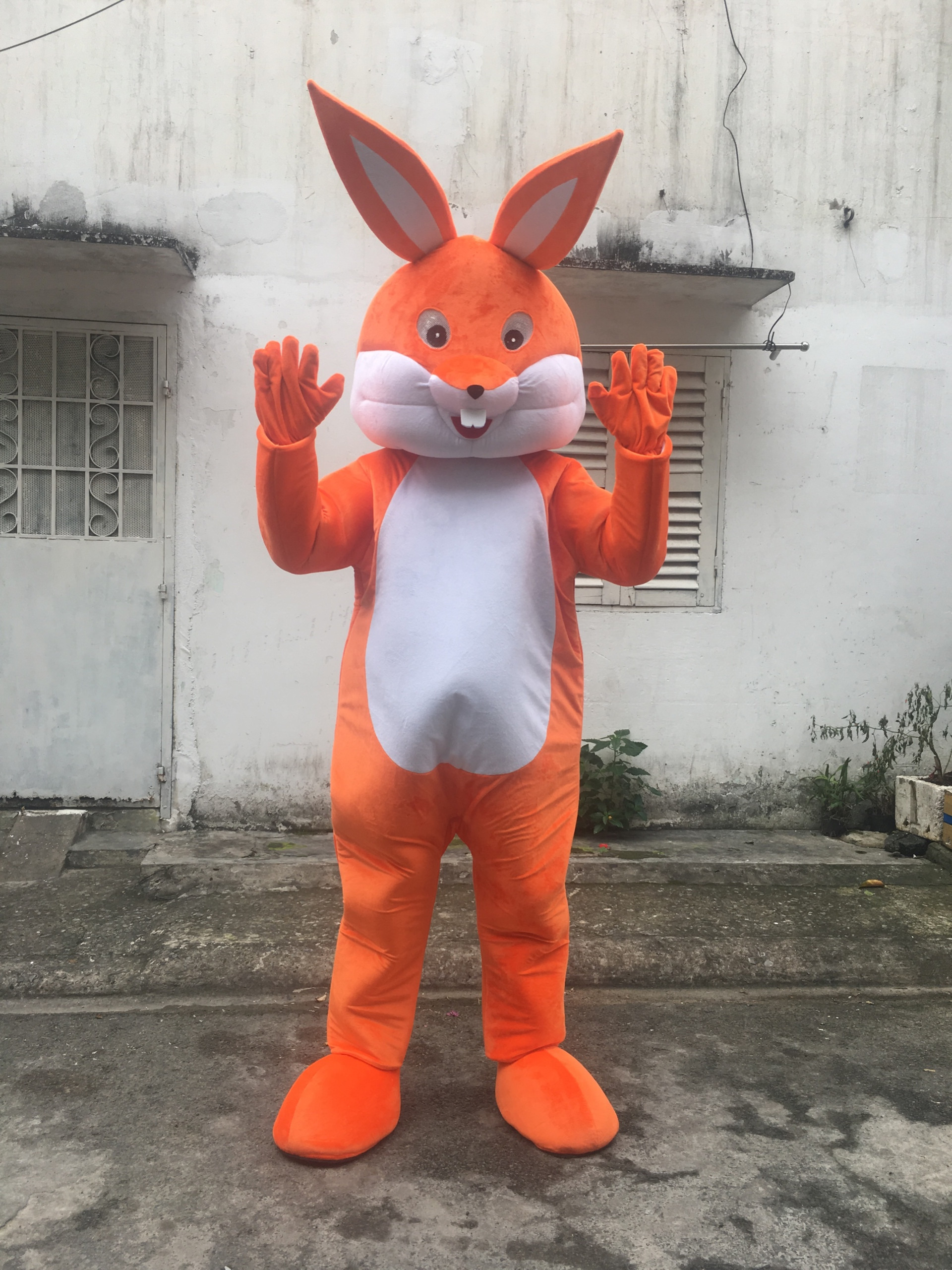 cho thuê mascot thỏ giá rẻ